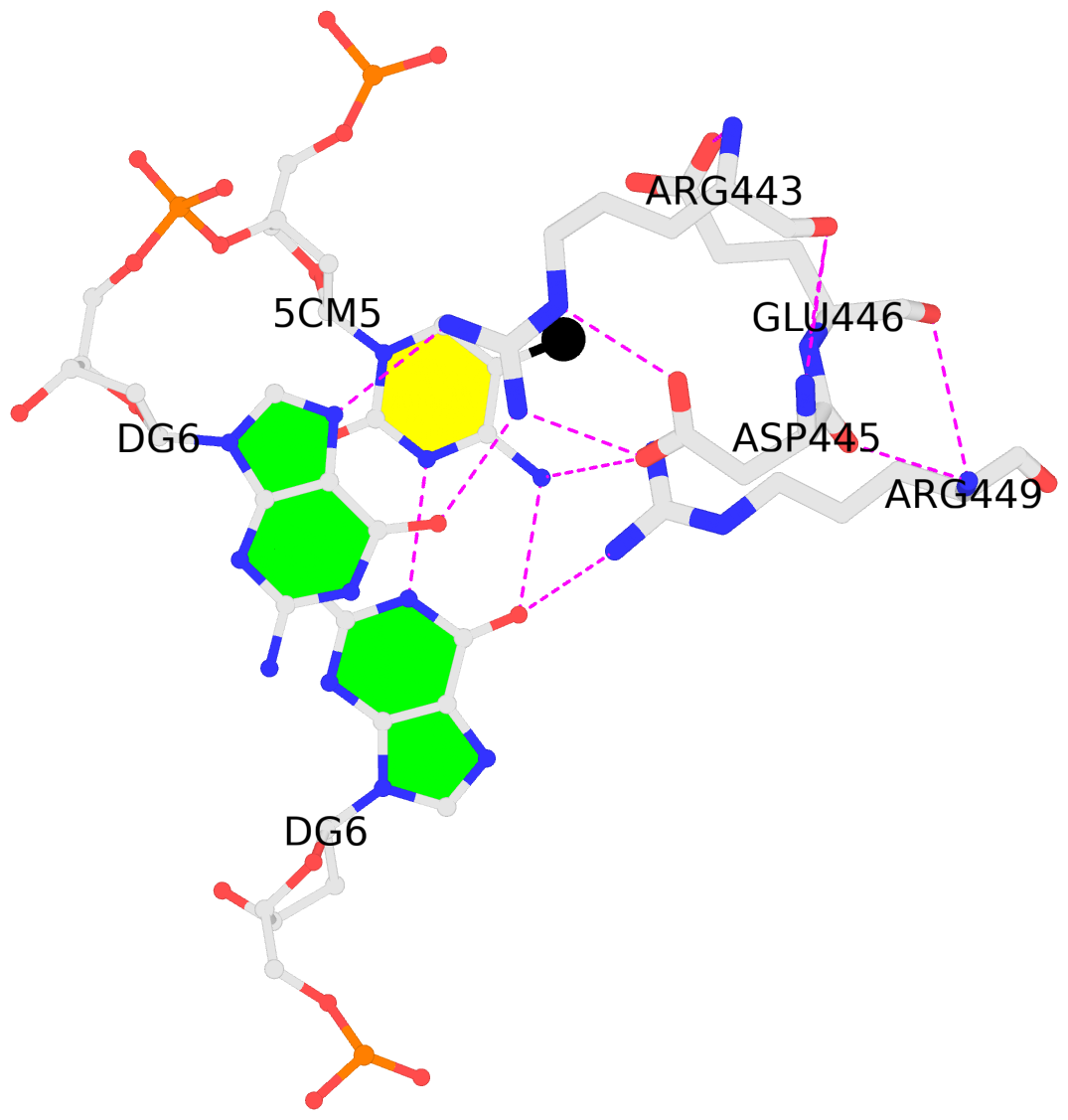 DSSR-PyMOL image for PDB id: 4m9e